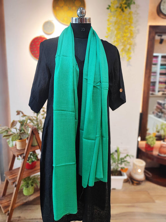 Caribbean Green Plain Fine Wool Pashmina Stole