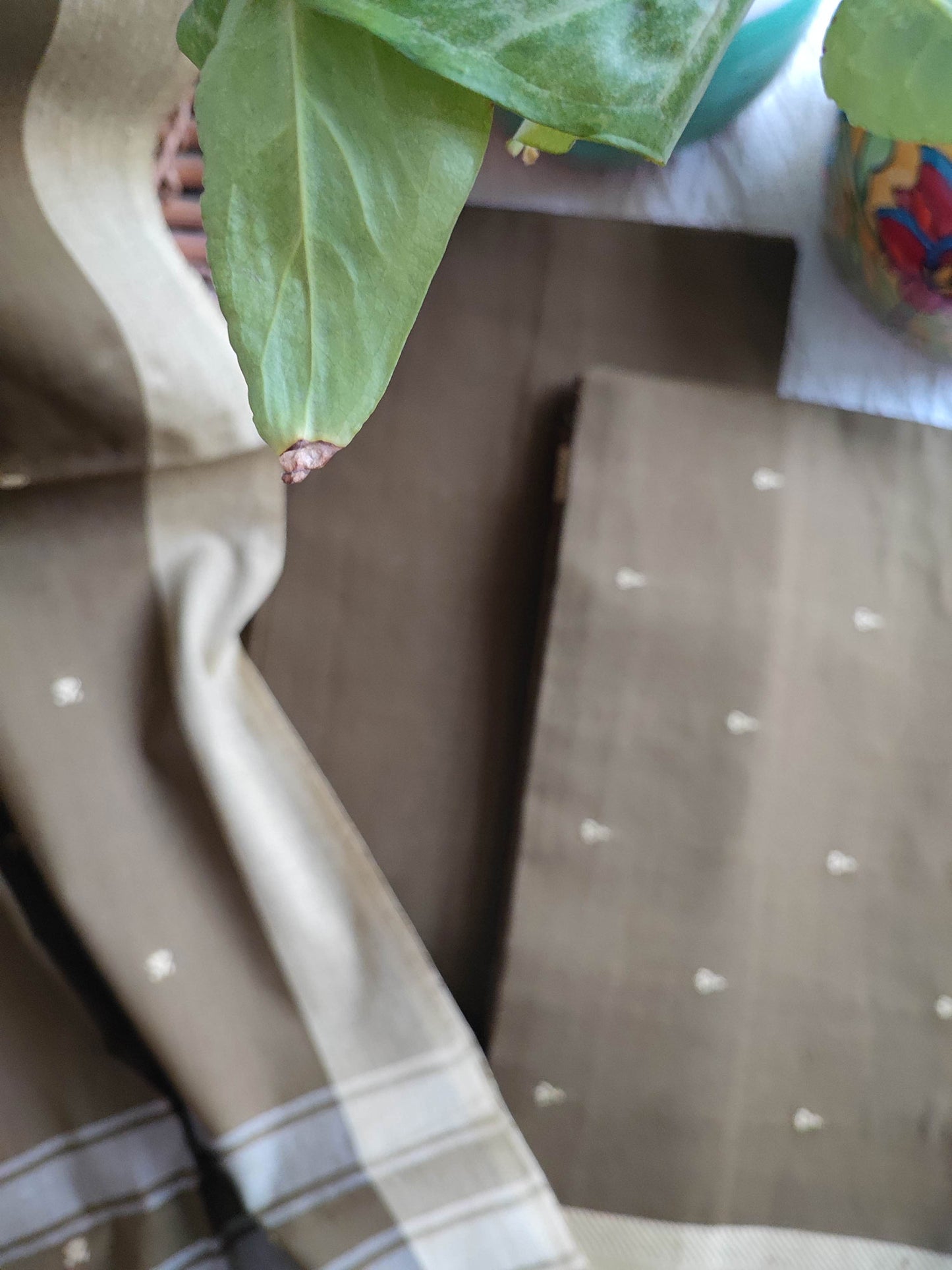 Tortilla Brown Handloom Pure Cotton Suit with Buta Weave